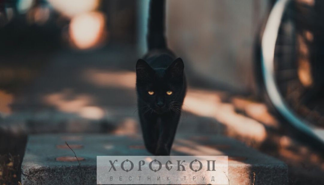 Хороскопът на Алена: Интересна делова среща за Везните, Скорпионите да не разчитат на късмета си