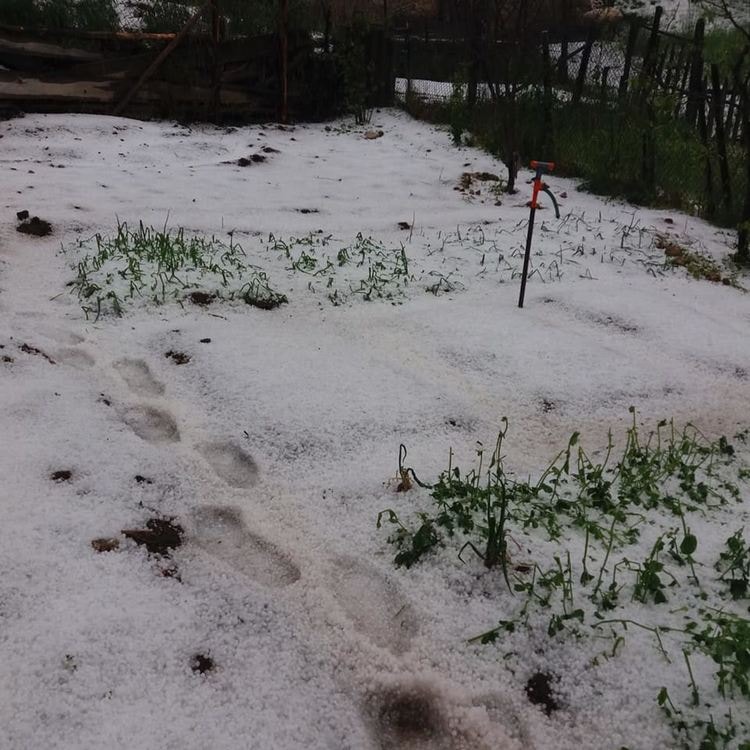 Градушка покри с 10 см лед Доспат и Борино