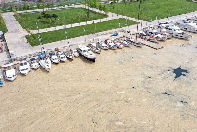 Дебел слой слуз покри водите на Мраморно море край Истанбул (ВИДЕО)