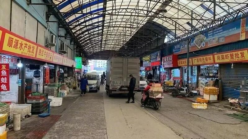 На пазарите в Ухан не са се продавали прилепи и панголини, сочи изследване