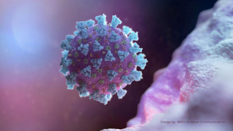 Лечението на AstraZeneca с антитела не спира COVID