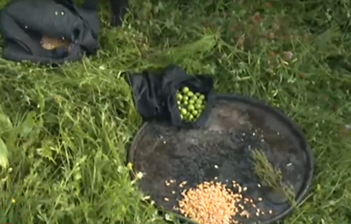 Служител на ловно стопанство намери 69 мигранти в планината над Ихтиман