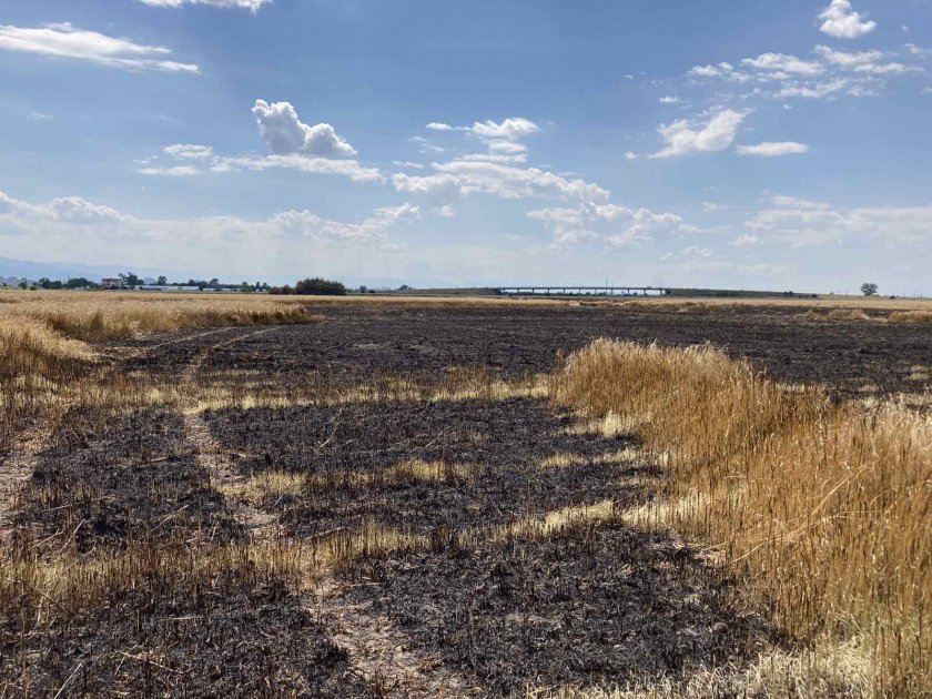 Голям пожар в Пловдивско