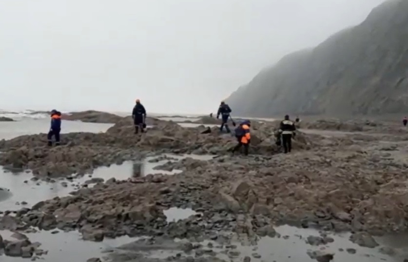 Намерени са останки от 19 тела на пътници от разбилия се самолет в Камчатка