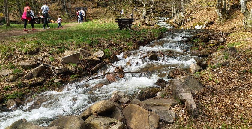 Референдум в Словения решава за бъдещето на водите