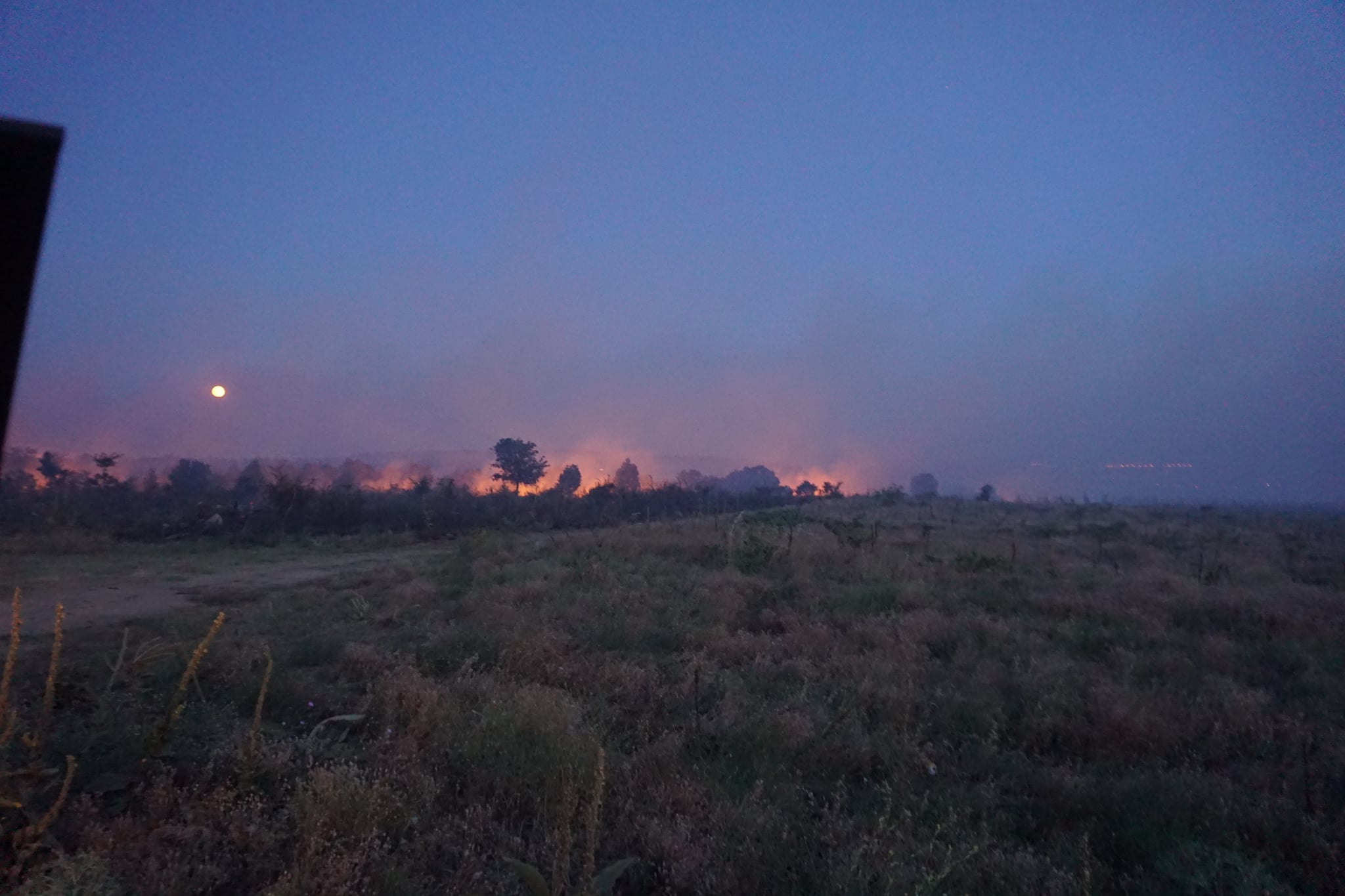 Овладян е пожарът в Сакар планина