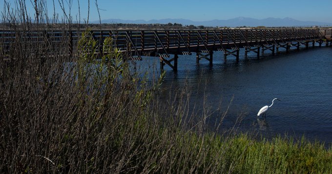 Теченията в Атлантическия океан отслабват, сигнализирайки за големи климатични промени
