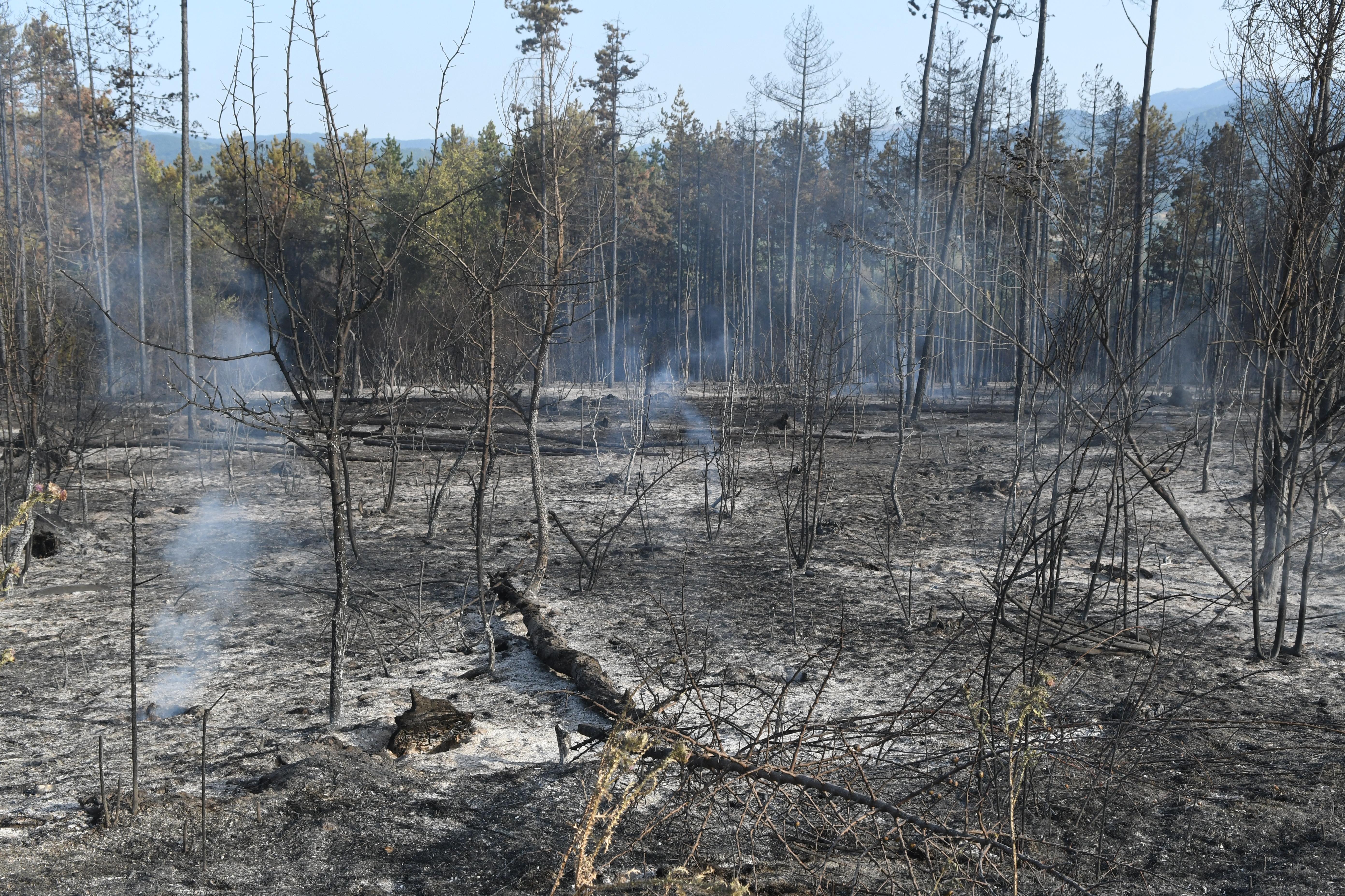 Пожарът в Рила се вижда от Космоса (СНИМКА)
