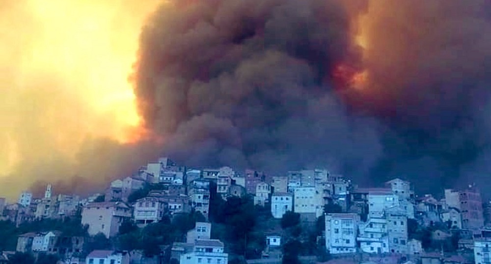 Над 60 души са загинали при пожари в Алжир (ВИДЕО)