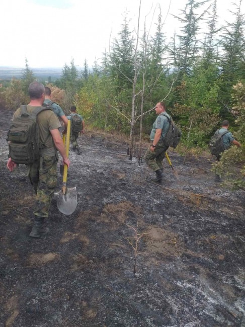 Десетки военни гасят пожар край хисарското село Черничево