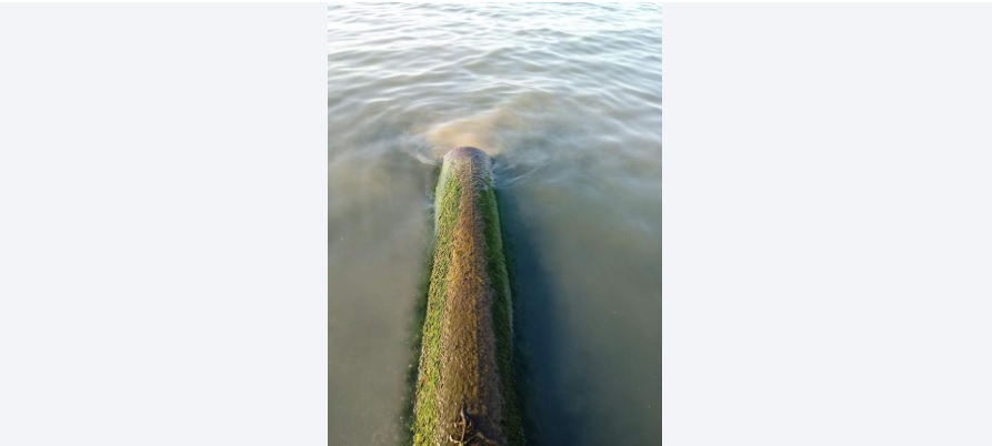 РИОСВ - Бургас сезира прокуратурата за продължилото с години незаконно изтичане на отпадни води край Синеморец