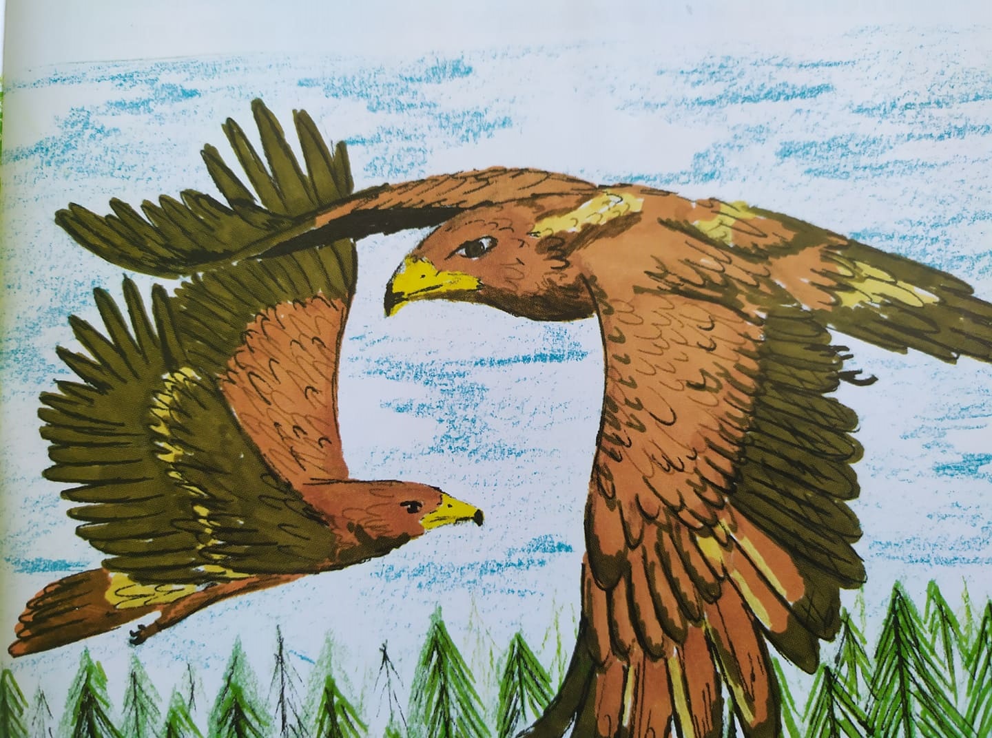 Участвайте в конкурса "Земите и горите на орела"