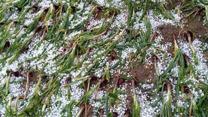 ВАП нареди проверки заради градушките