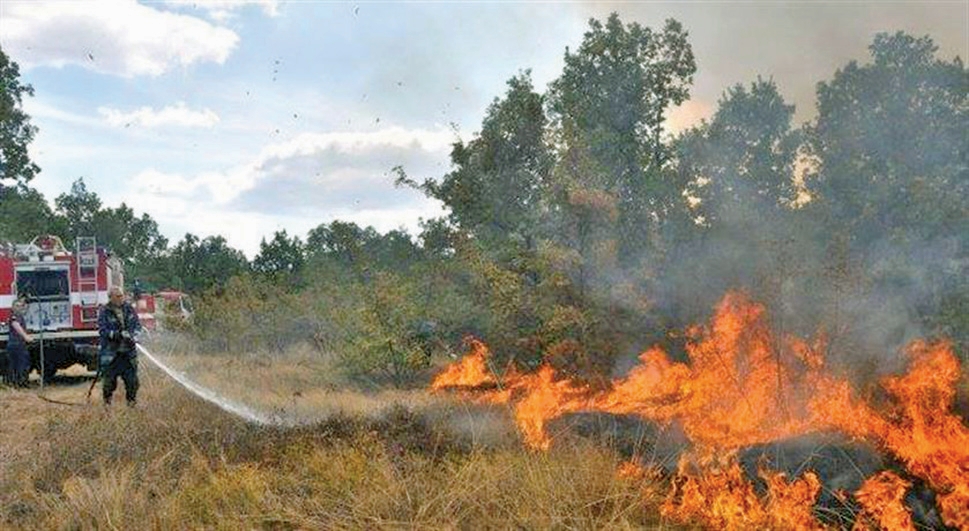Нови критерии за компенсации на земеделците, пострадали при природни бедствия