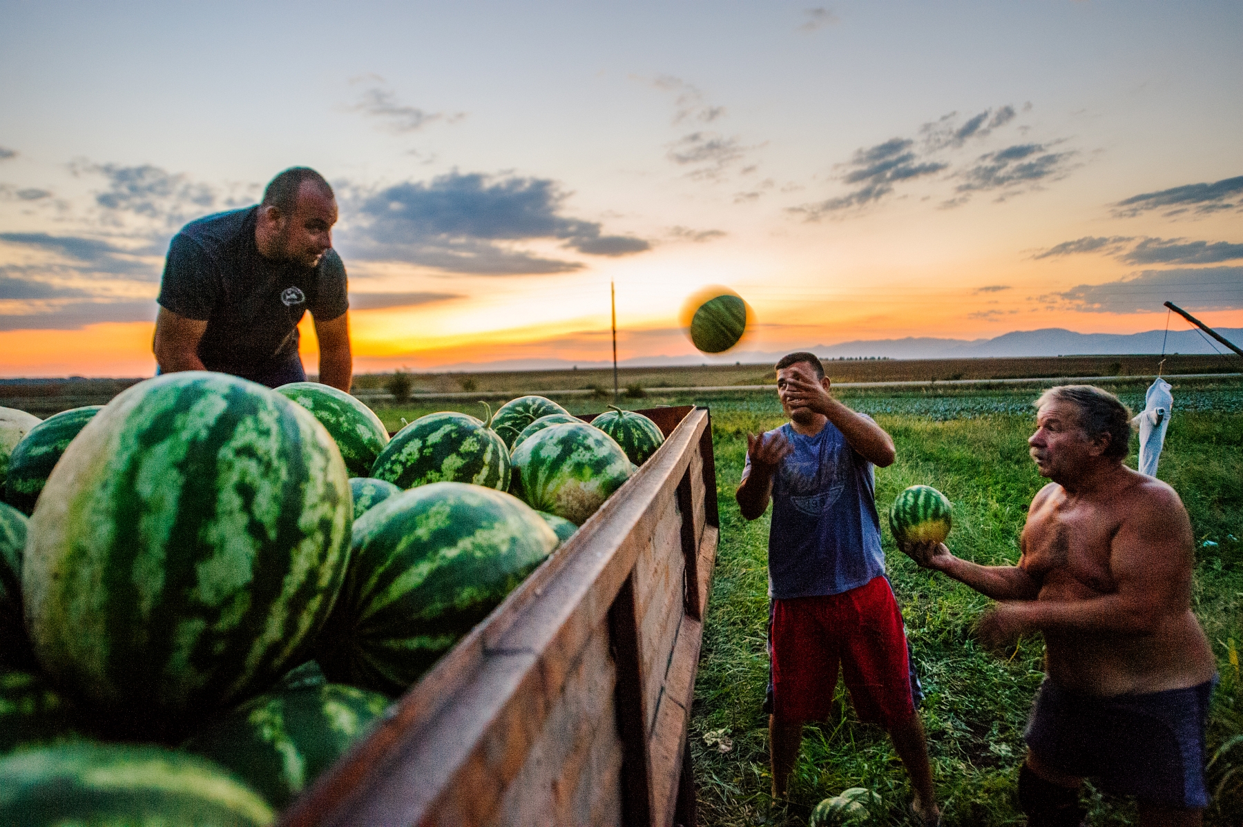 Земеделци, пострадали от градушката, протестират днес