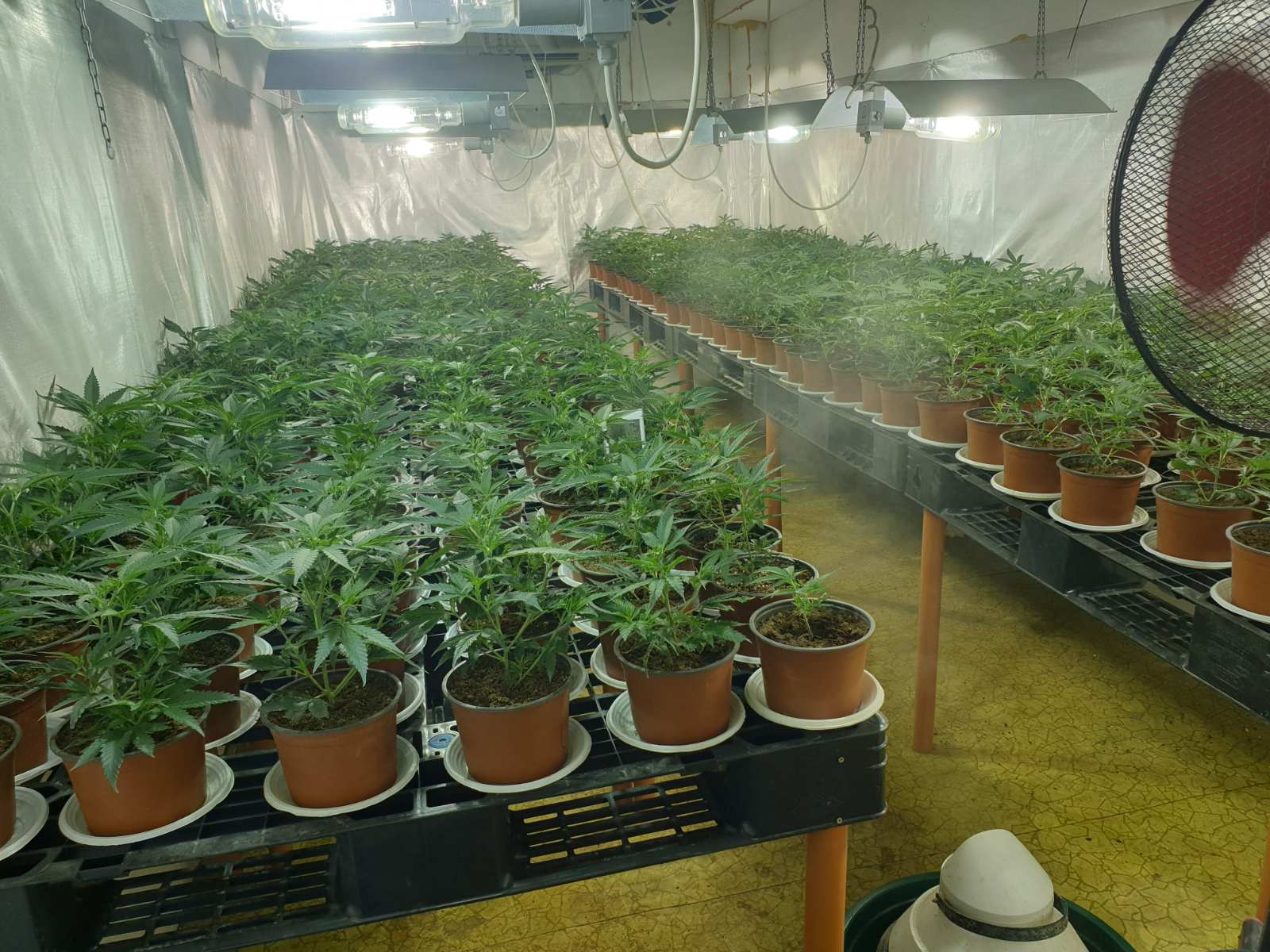 Година и пет месеца затвор за наркофермер от врачанското село Мраморен