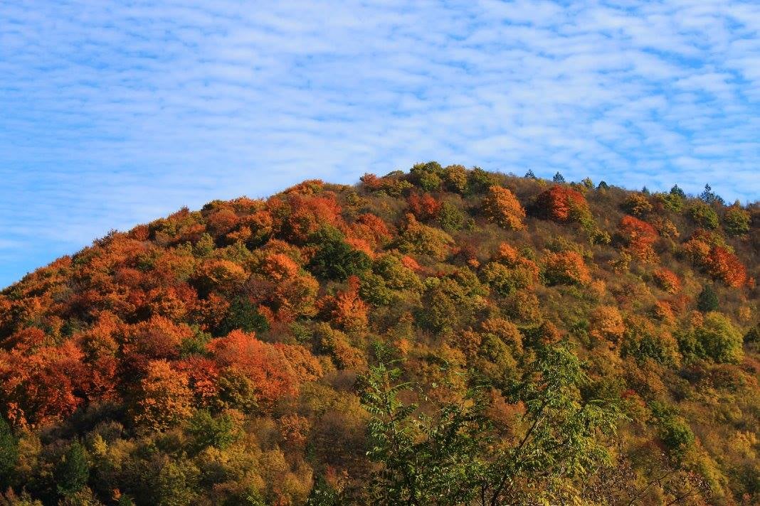 СИДП с над 1 млн.лв. печалба