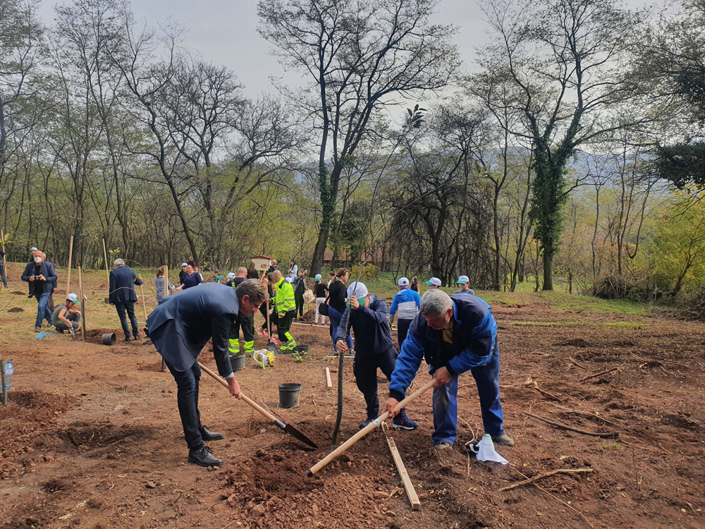 Ученици участват в засаждането на 2100 дръвчета