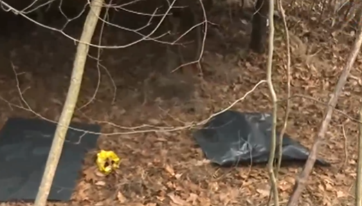 Бивак с мигранти откриха в гората над Ихтиман