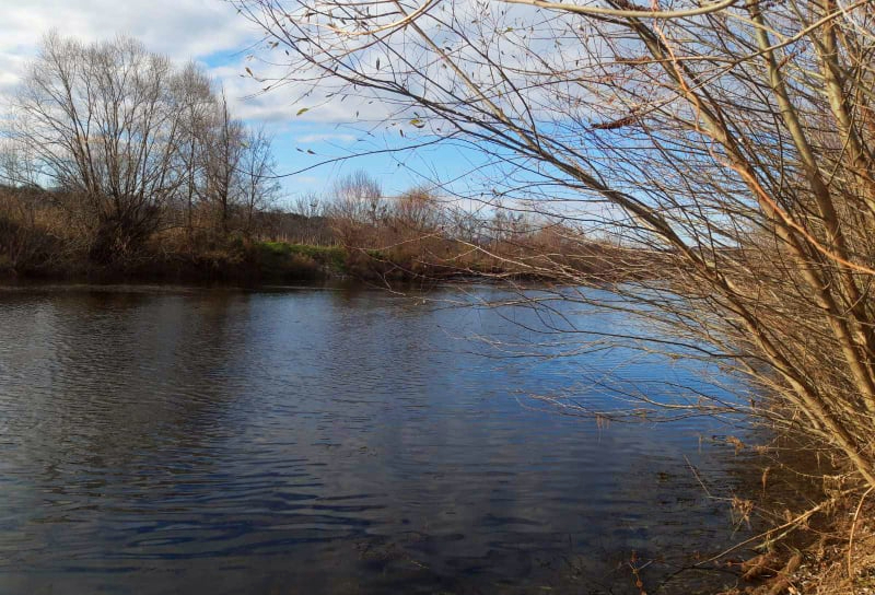 Коритото на река Струма се измести опасно близо до село Тополница