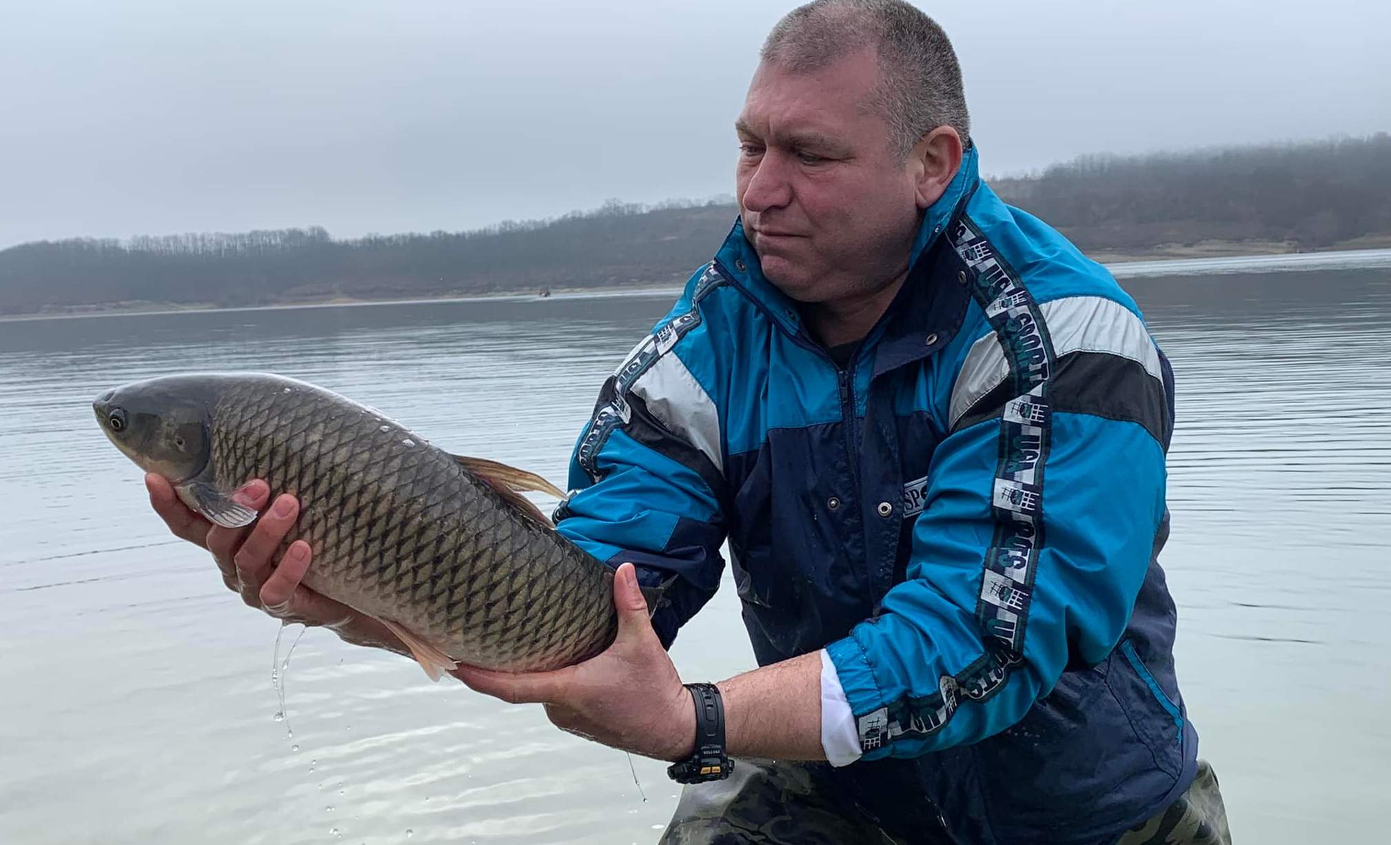 Пуснаха половин тон бял амур в язовир "Тича"