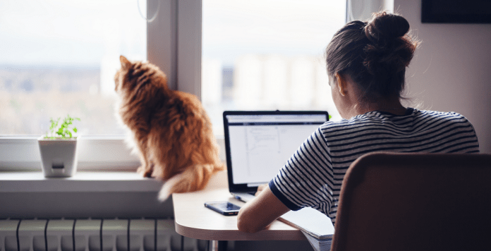 Инспекцията по труда на проверки за нарушения при хоум офиса