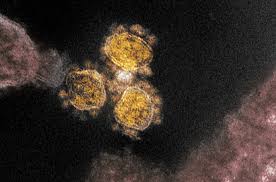 Омикрон измести Делта, откриха го в над 90% от пробите