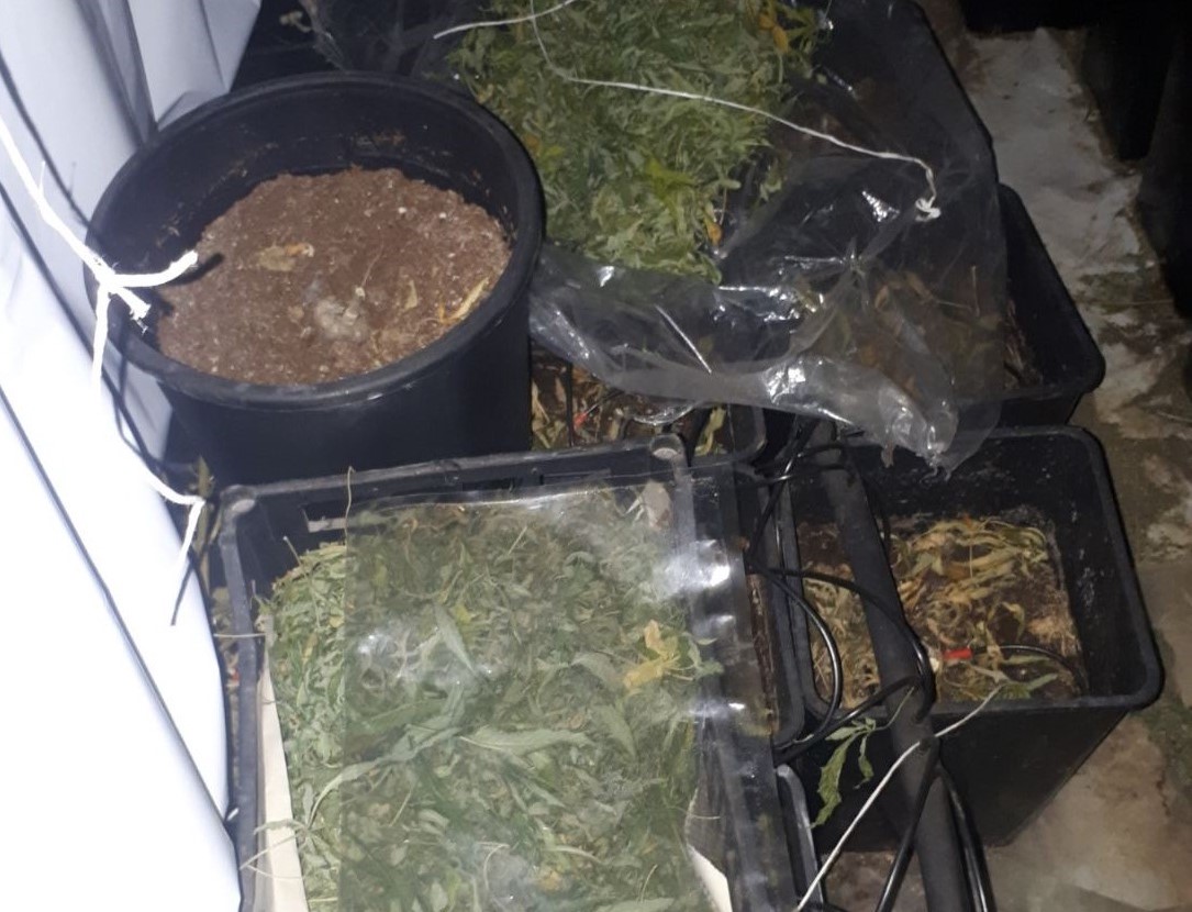 Задържаха участници в две сделки с наркотици в Пловдив