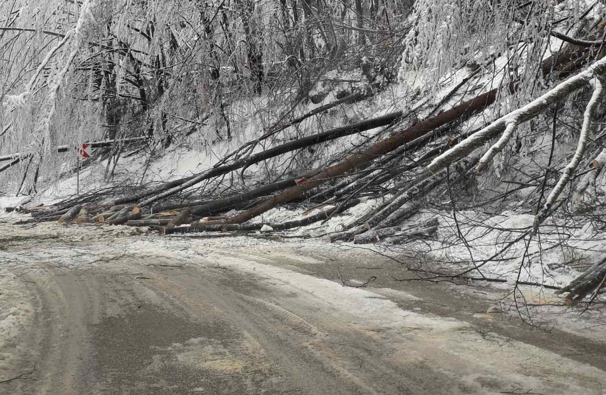 Бебе е в болница след катастрофа край прохода „Петрохан”