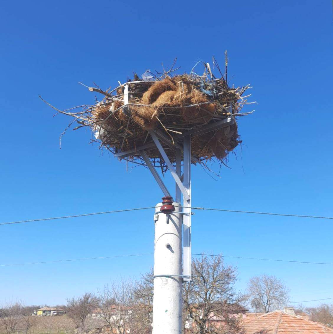 Енергото с платформи за щъркелови гнезда