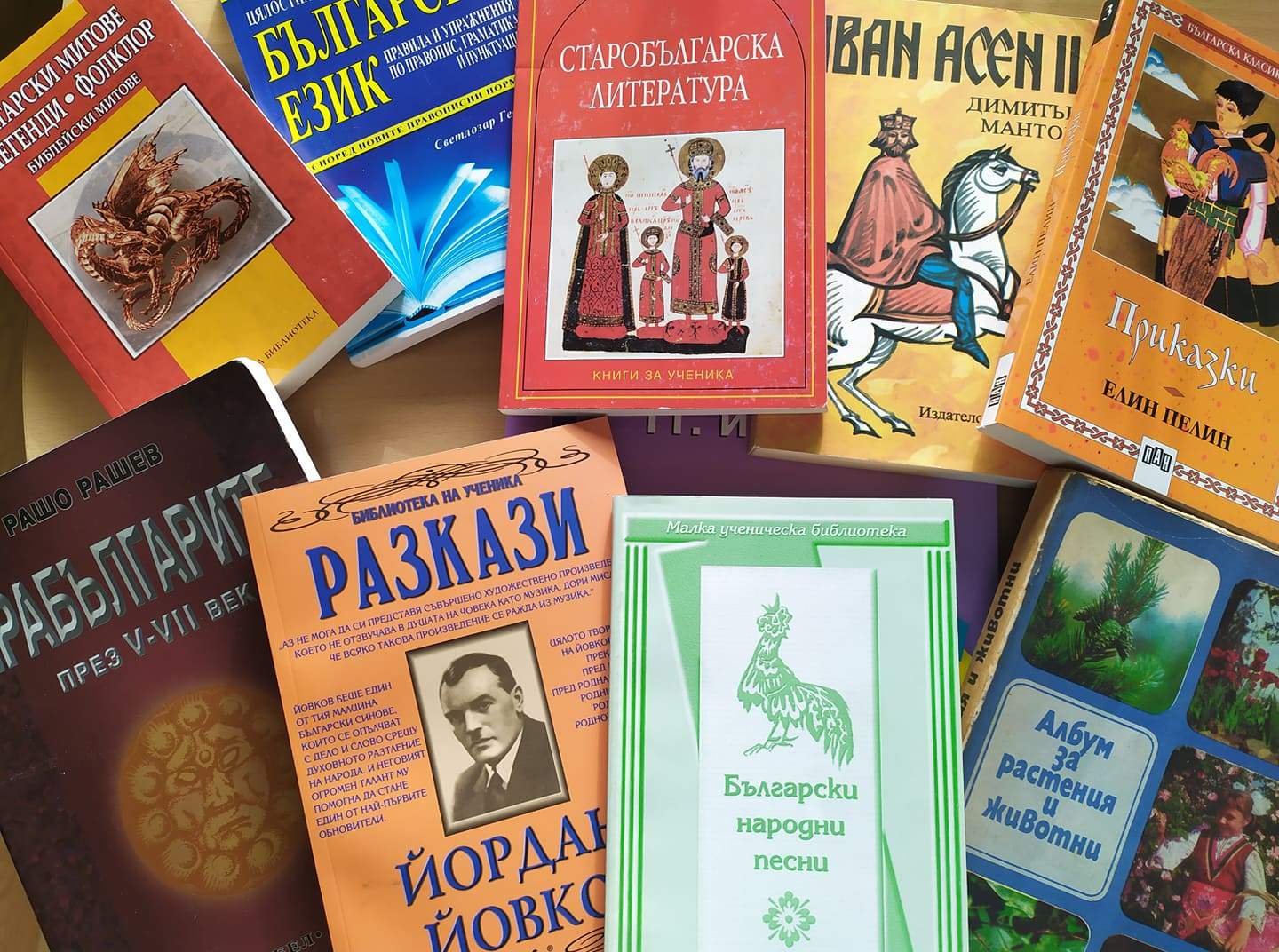 Страната събра 500 книги за Братислава по идея на горски