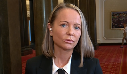 Дани Каназирева: Организираната престъпност се връща на регионално ниво