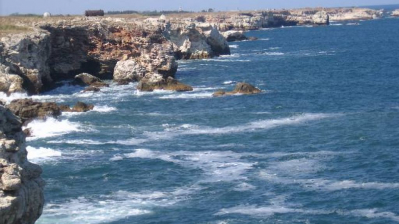 При инцидент с круизен кораб в Япония загинаха десет души