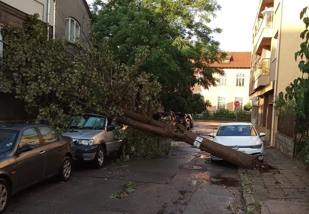 Над 300 души с цялата техника на общината се борят с щетите от бурята в Русе