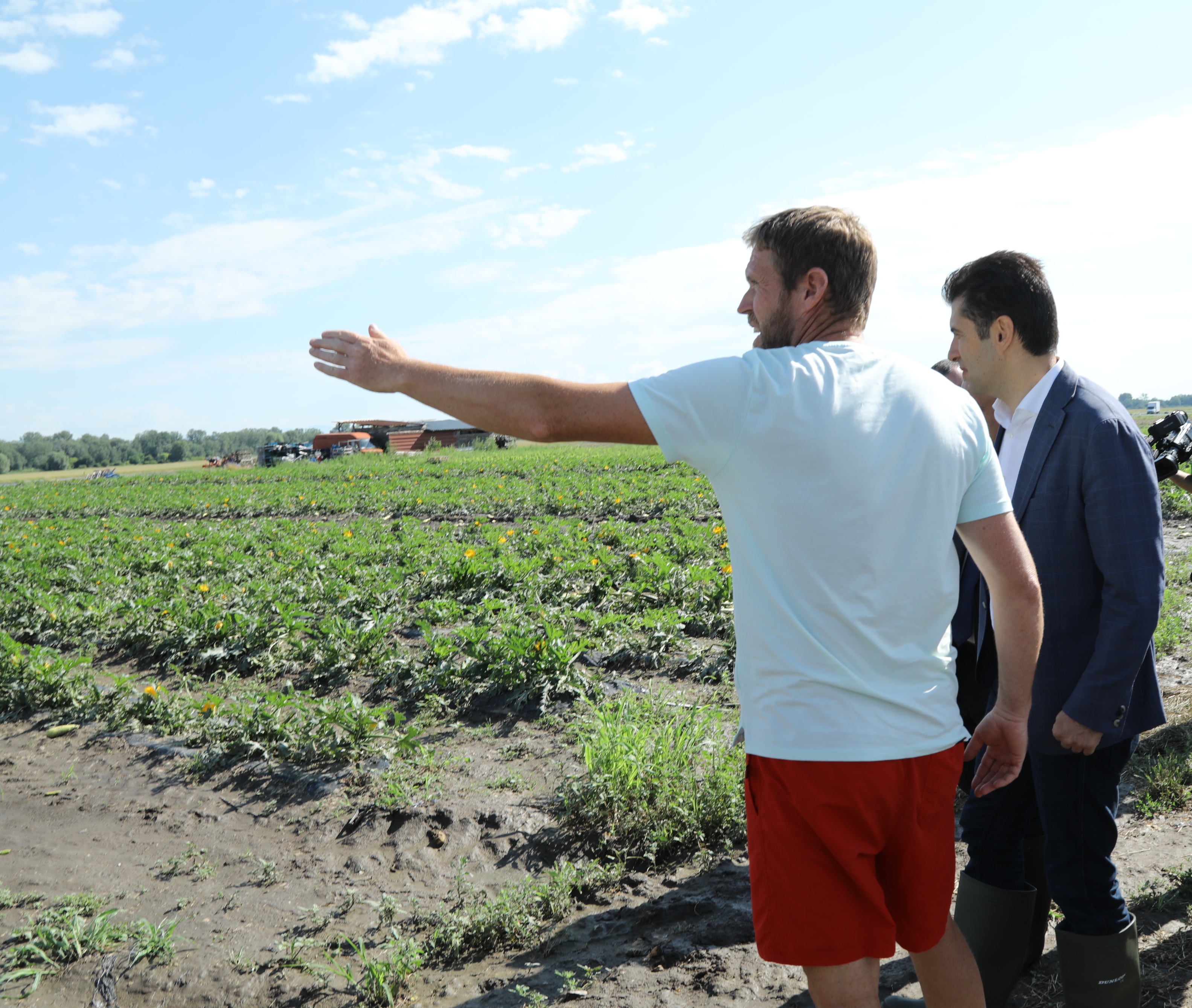 Петков: Изплащаме до месец 100% обезщетения за градушката в Садово