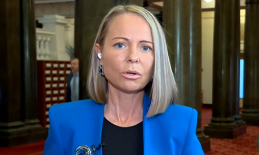 Дани Каназирева: Цялата законодателна дейност в това НС претърпя пълен крах