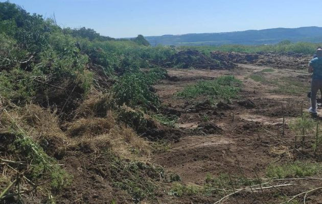 БАБХ установи нерегламентирано загробване на голям брой птици в Ловешко