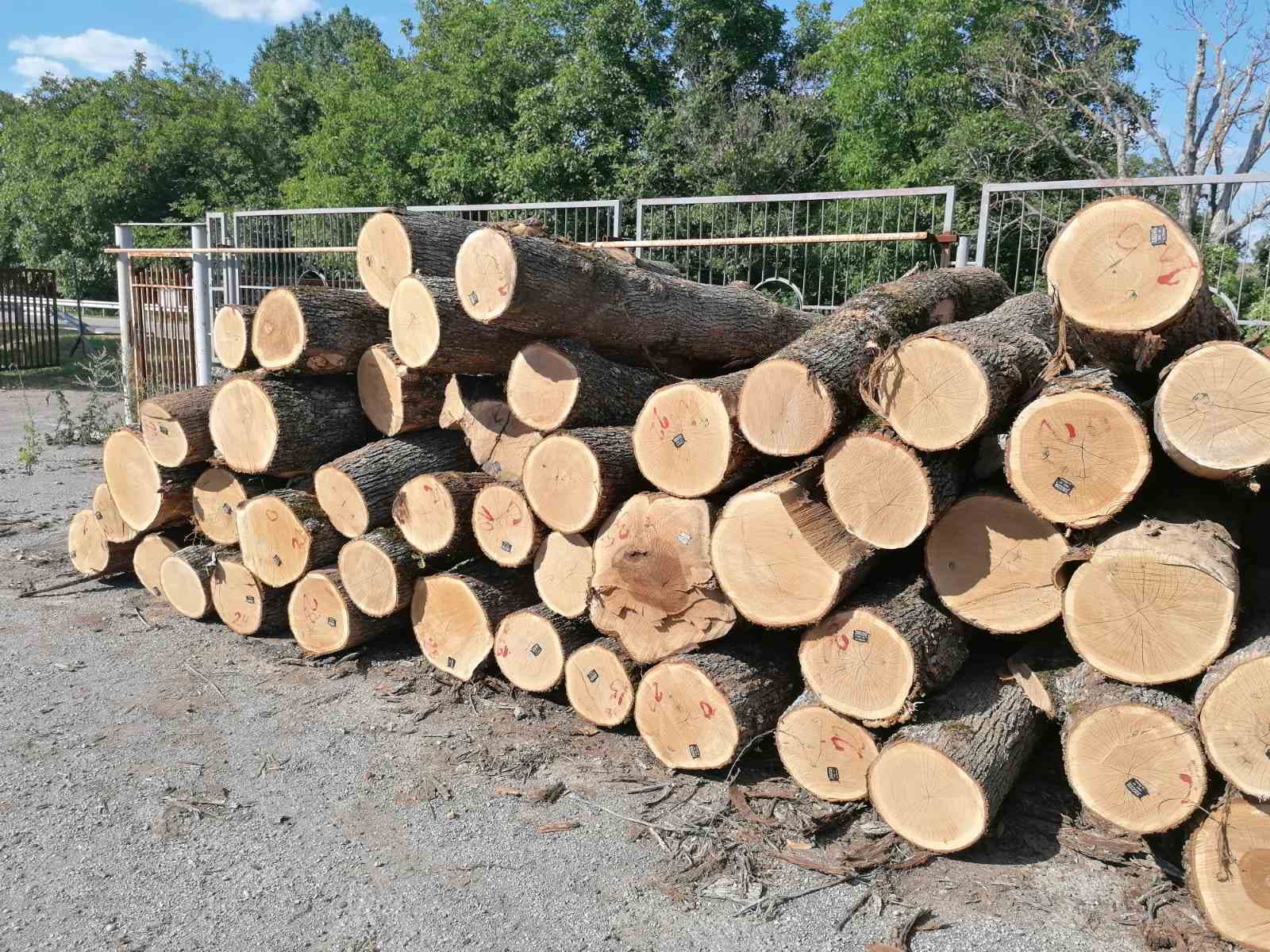 Конфискуваха 13 кубика дърва от бракониери за седмица