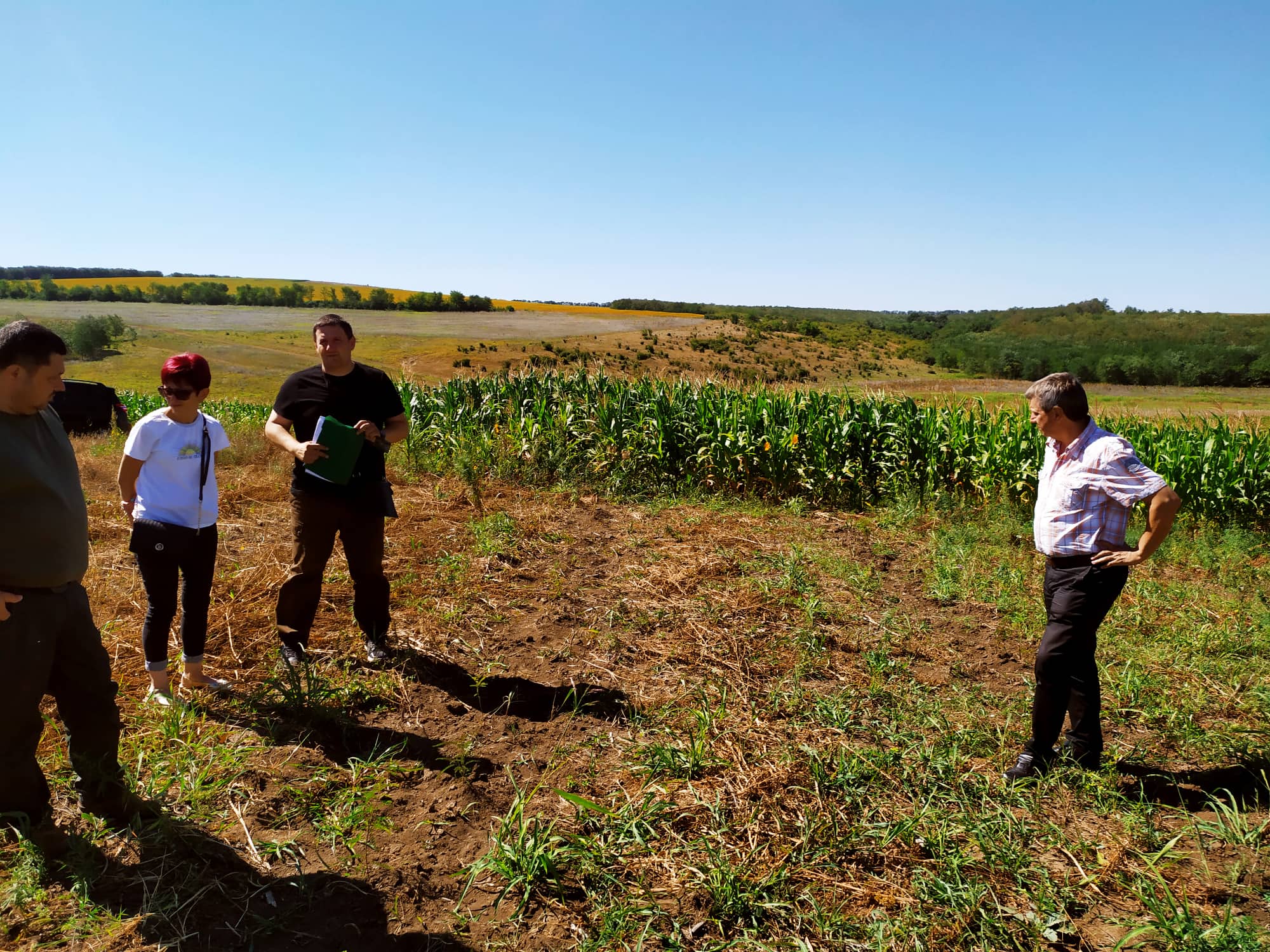 Засаждат над 1 млн. фиданки в Североизтока