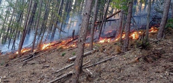 Голям пожар бушува в Габрово
