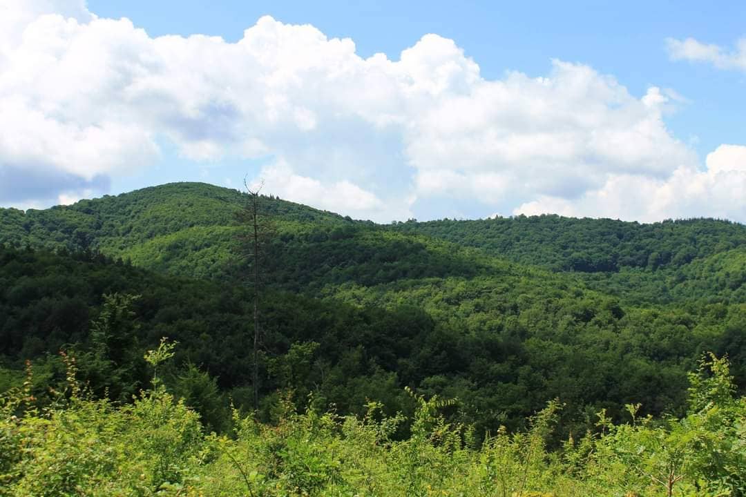 Седмица без нарушители в горите на Североизтока