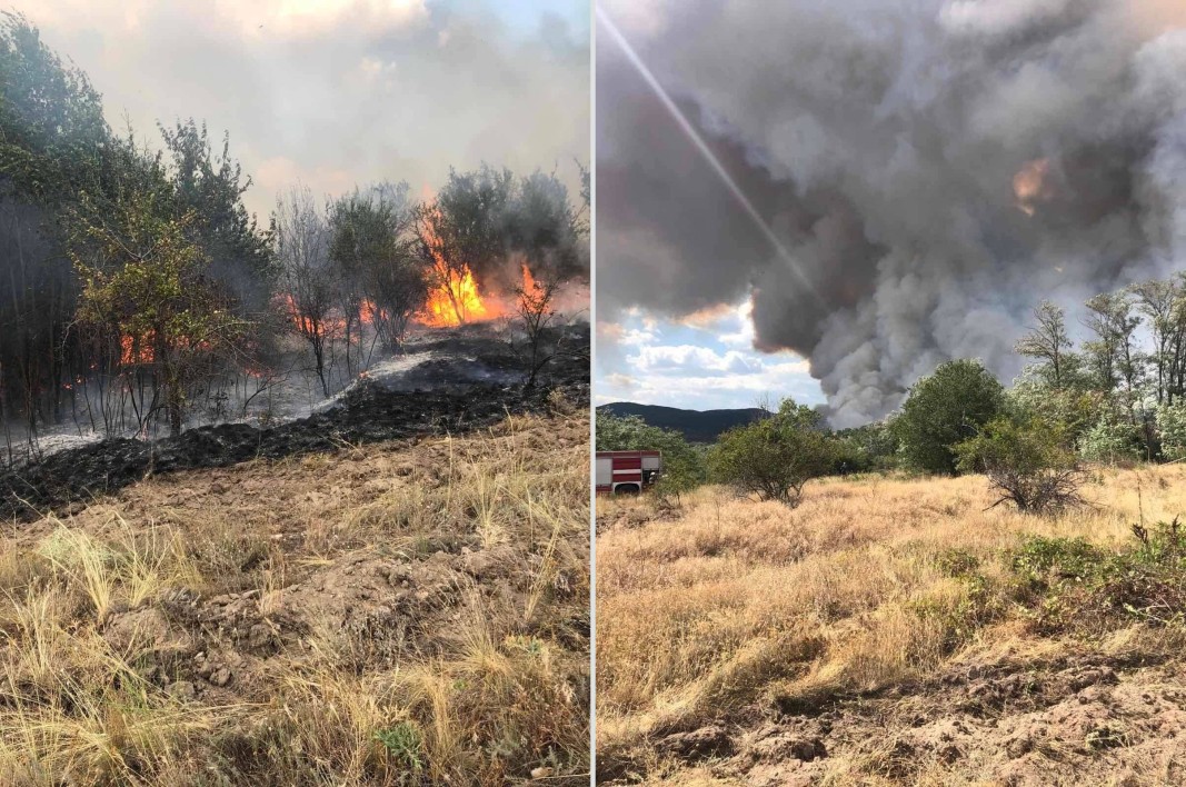 Над 2 хиляди декара смесени гори горят в панагюрските села Левски и Елщица