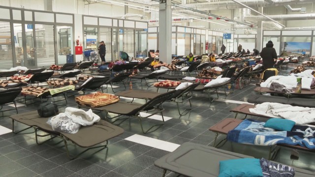 The Daily Telegraph: Една четвърт от британците, приели украински бежанци, искат те да останат не повече от 6 месеца