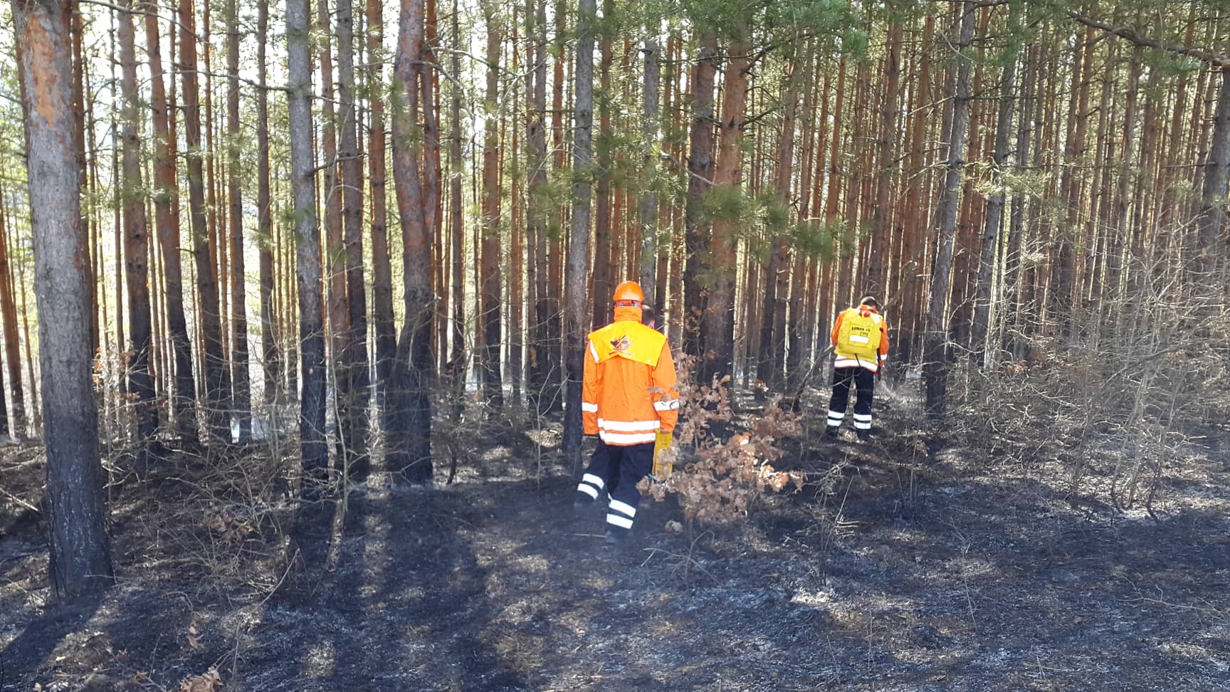 Над 314 000 м ивици срещу пожари в горите на Североизтока