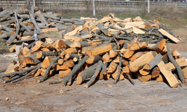 Дърва по 10 лв. за кубик осигури Община Кюстендил