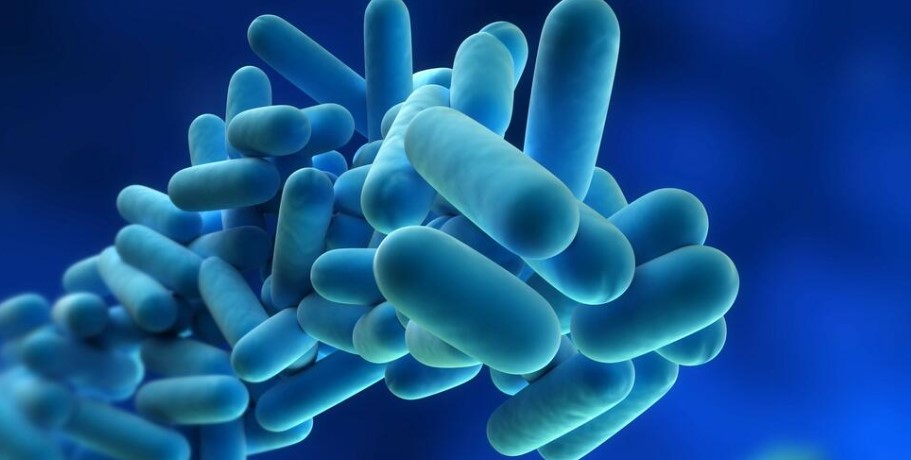 В Индия се появи нов вирус наречен „доматен грип“, най-често изложени на заразата са децата