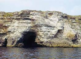 Правят карта на местообитания и защитени видове в Черно море