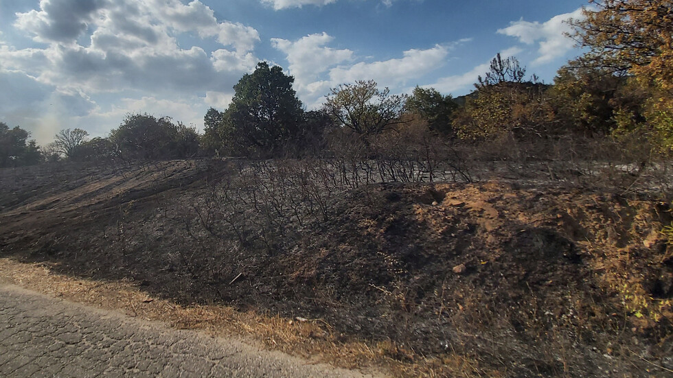 Разследват причините за пожара в Свиленградско