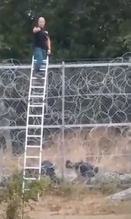 За 2 минути мигранти със стълба прескачат телената ограда