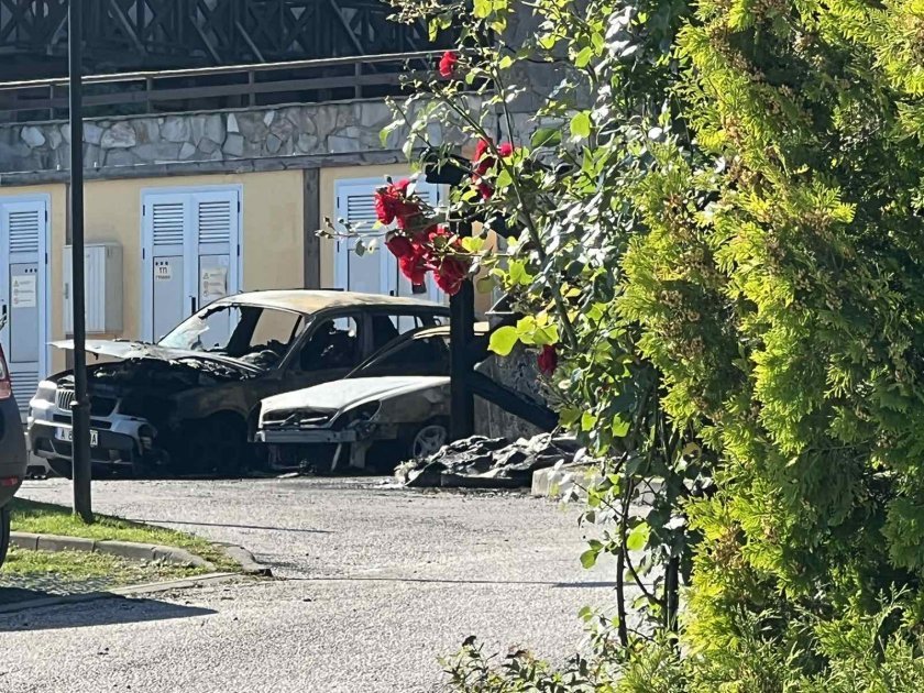 9 коли изгоряха при пожар на паркинга на хотел в Банско